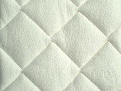 Wasserbettenbezge Aloe Vera, nah.